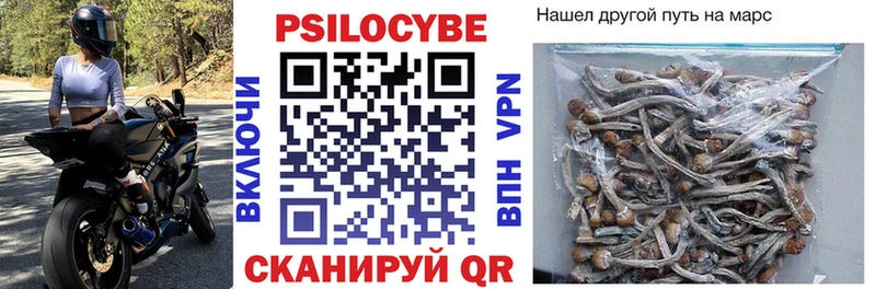 Галлюциногенные грибы Cubensis  что такое наркотик  Дедовск 