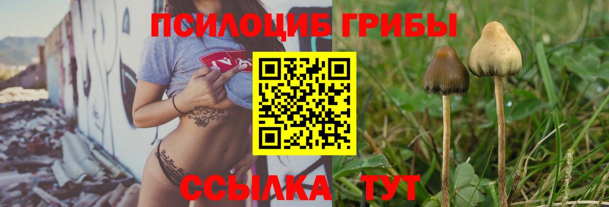 Галлюциногенные грибы прущие грибы  Вход с VPN  Дедовск 