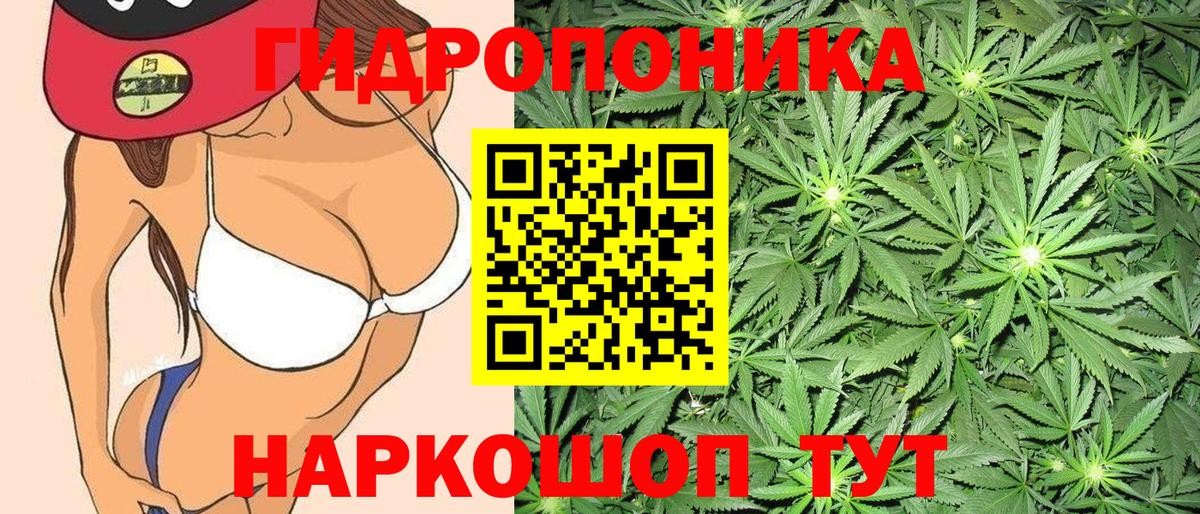 Канабис SATIVA & INDICA Дедовск